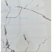 3110 ARTA GLOSSI 60*60